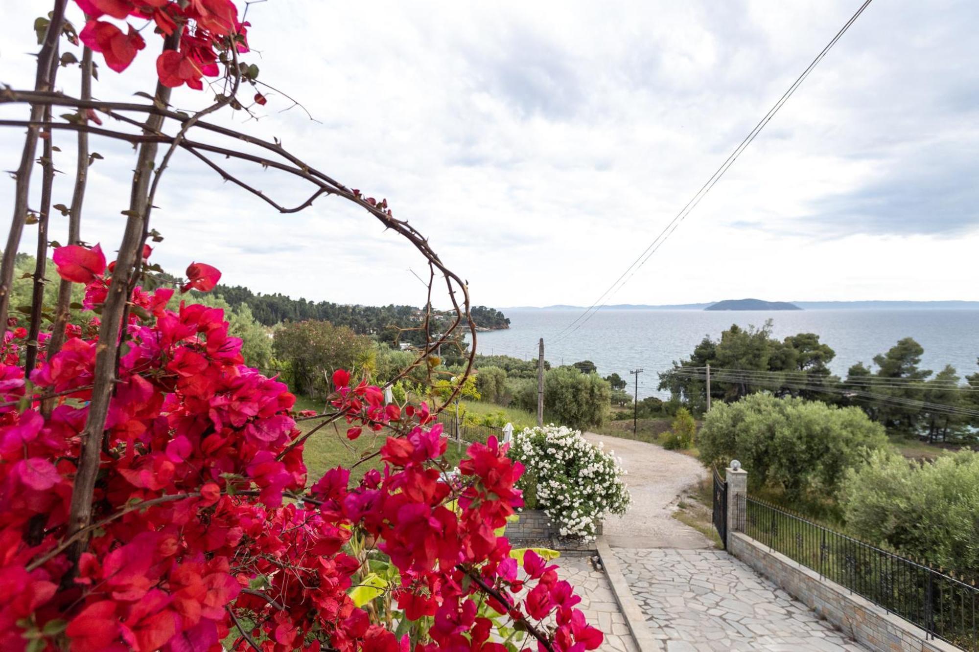 Апартаменты House Panorama Sea View Неос-Мармарас Экстерьер фото